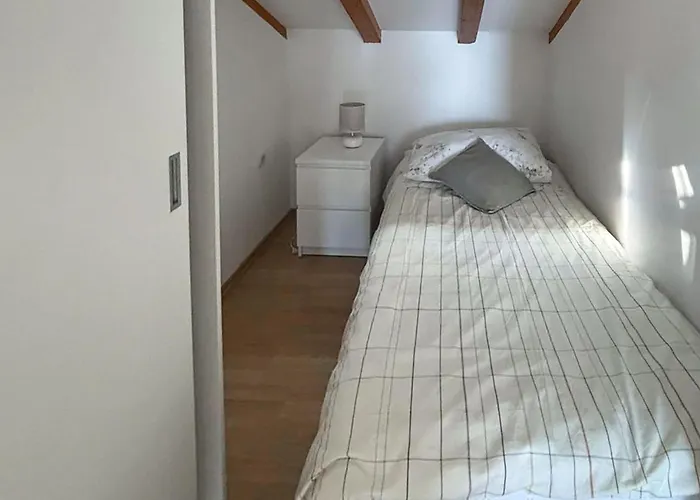 Pet Friendly In *