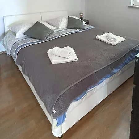 Pet Friendly In * Μπολ