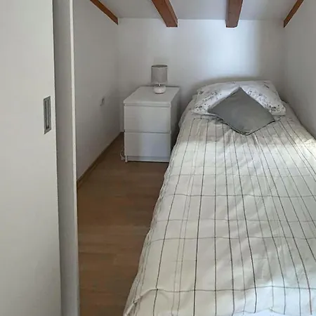 Pet Friendly In *